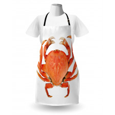 Cooked Dungeness Crab Apron