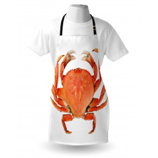 Cooked Dungeness Crab Apron