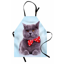 Grey Scottish Fold Theme Apron