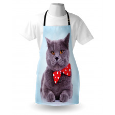 Grey Scottish Fold Theme Apron