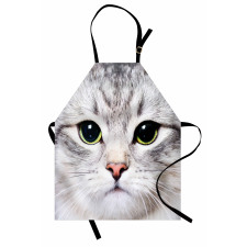 Face of a Domestic Kitty Apron