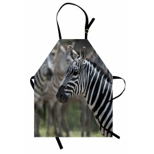 Zebra in Serengati Park Apron