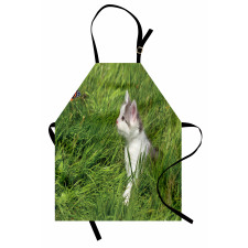 Cat and Butterfly Apron