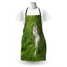 Cat and Butterfly Apron