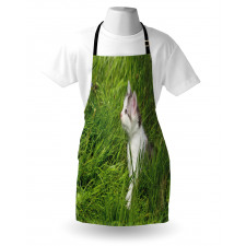 Cat and Butterfly Apron
