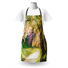 Spring Park Walkway Apron