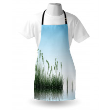 Scenery Lake Bushes Apron