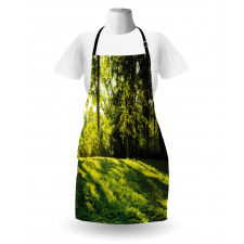 Rising Sun Beams Forest Apron