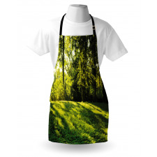 Rising Sun Beams Forest Apron