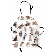 Funny Playful Cats Image Apron