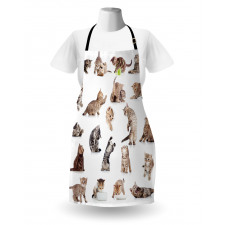 Funny Playful Cats Image Apron