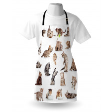 Funny Playful Cats Image Apron