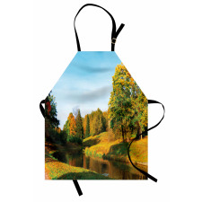 Natural Forest Park Apron