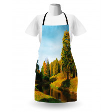 Natural Forest Park Apron