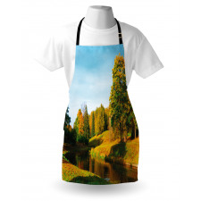 Natural Forest Park Apron