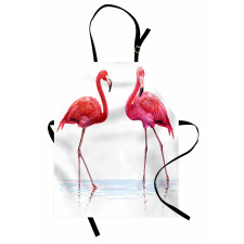 Exotic Flamingos on Sea Apron