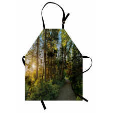 National Park Trees Path Apron