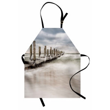 Groyne Zingst Germany Apron