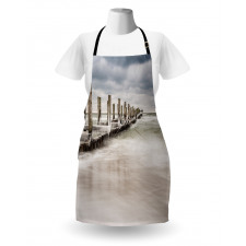 Groyne Zingst Germany Apron