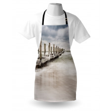 Groyne Zingst Germany Apron