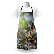 Frog Above the Snail Apron