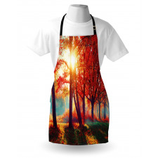 Foggy Autumnal Park Scenic Apron