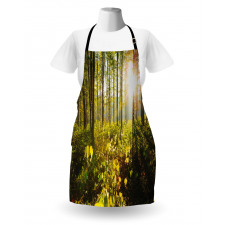 Sun Rays Woods Foliage Apron