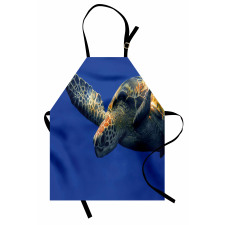 Sea Animal Swimming Apron