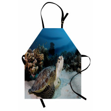 Turtle Coral Reef Apron