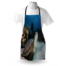 Turtle Coral Reef Apron