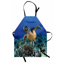 Cheloniidae Deep Ocean Apron