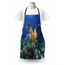 Cheloniidae Deep Ocean Apron