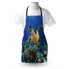 Cheloniidae Deep Ocean Apron