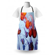 Jellyfish in the Ocean Apron