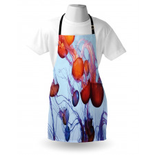 Jellyfish in the Ocean Apron