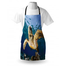 Hawksbill Sea Turtle Apron