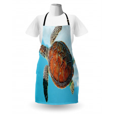 Sea Animal Caribbean Apron