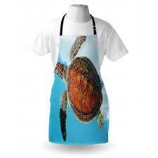 Deniz Canlısı Mutfak Önlüğü Kahverengi Kaplumbağa
