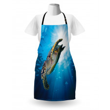 Sea Turtle Diving Apron