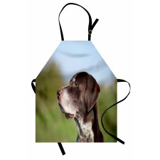 German Pointer Apron