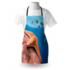 Coral Fishes Sea Apron