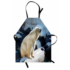 Polar Bear in Park Rocks Apron