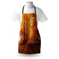 Footpath in Foggy Woods Apron