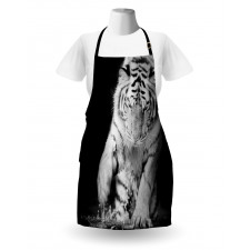 Large Cat Plays in Water Apron