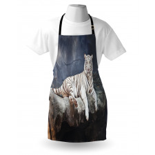 Wildlife Cat on the Rock Apron