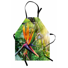 Bird of Paradise Flower Apron