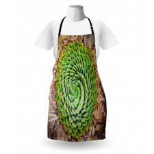 Aloe Polyphylla Vera Apron