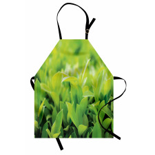 Lush Green Leaves Apron