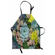 Miniature Plants Stones Apron