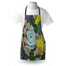 Miniature Plants Stones Apron